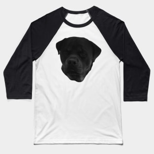 Rottweiler Pooch Baseball T-Shirt